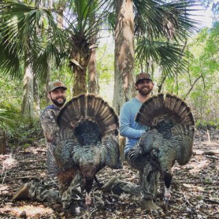 Two turkeys down on Sunday fun day! #claygullyoutfitters #gooutdoors #hunt #floridahunting #turkeyhunting #osceola #thunderchicken #hunting #springturkey #springturkeyseason #essentials #huntingislife #sundayfunday☀️