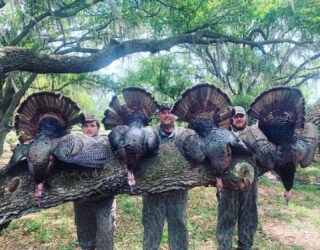 Opening weekend of Spring Turkey season 2021 North was filled with lots of spurs and beards!! #claygullyoutfitters #turkeyseason #gooutdoors #hunting #hunt #floridahunting #osceolaturkey #bangbang #thunderchicken #huntinglife #florida #huntflorida #springturkeyseason