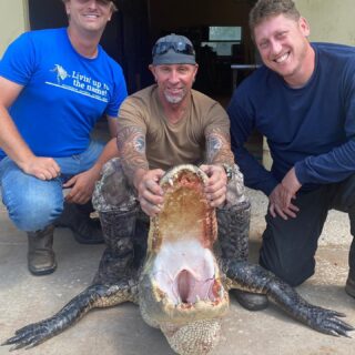 -See ya later Alligator!- 😜
We love to see a happy client after a dinosaur hunt. Public season is HERE. Grab your permit and come see us! 

#alligator #hunting #boatlife #outfitters #florida #lorida